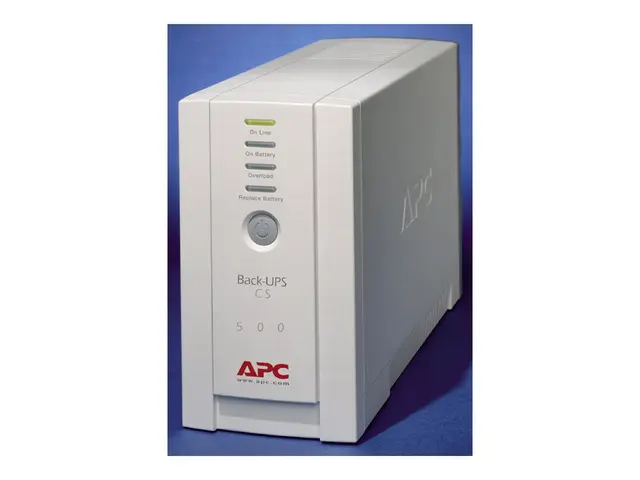 APC Back-UPS CS 500 - UPS - AC 230 V - 300 watt - 500 VA - RS-232,...