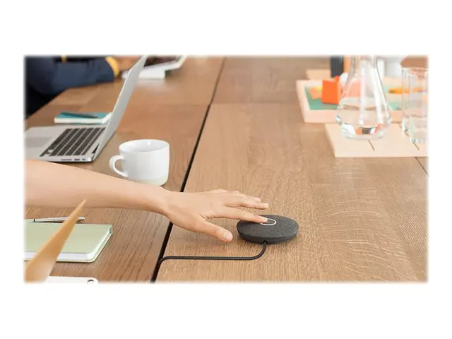 Logitech Rally Mic Pod Hub - Adapter for mikrofongrensesnitt - for...