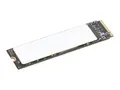 Lenovo - SSD - kryptert - 2 TB intern - M.2 2280 - PCIe 4.0 (NVMe) - TCG Opal Encryption 2.0 - for Legion T5 26; ThinkCentre M90q Gen 5; ThinkPad P14s Gen 6; P16s Gen 4