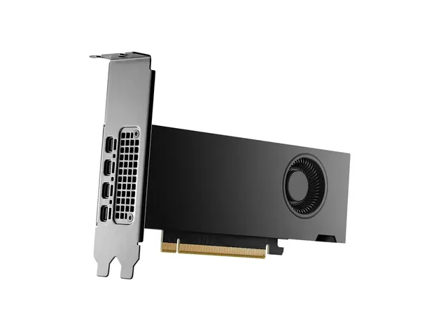 NVIDIA RTX 2000 Ada - Grafikkort 16 GB GDDR6 4 x Mini DisplayPort