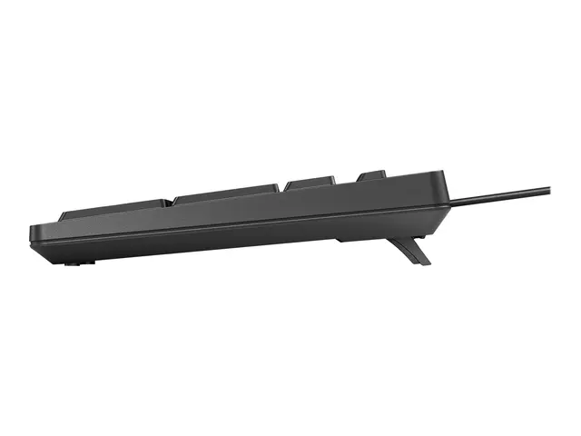 HP 125 - Tastatur USB QWERTY Engelsk for 34; Laptop 15; Pro Mobile...