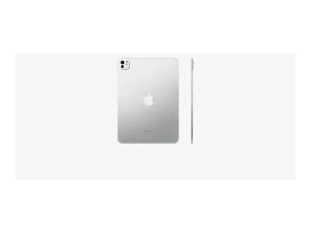 Apple 11-inch iPad Pro M4 Wi-Fi + Cellular - Tablet 256 GB 11" Tan...