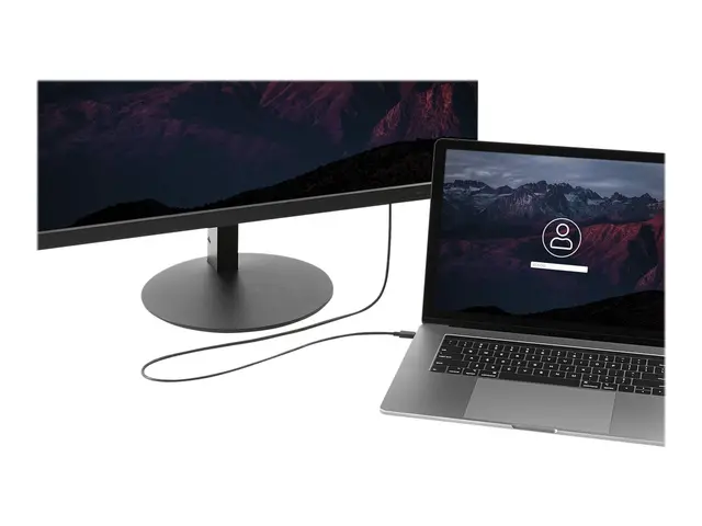 StarTech.com 6ft/1.8m USB C to DisplayPort 1.2 Cable 4K 60Hz, USB-...