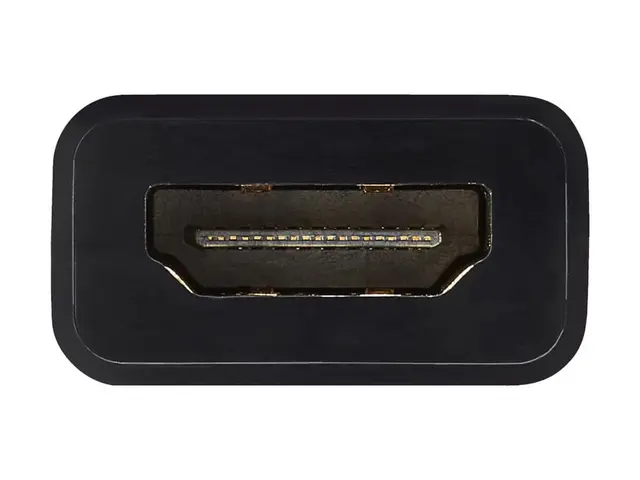 Eaton Tripp Lite Series 6in DisplayPort to HDMI Adapter Converter ...