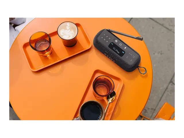 JBL Tuner 3 - Bærbar DAB-radio - 7 watt - svart
