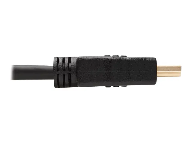 Eaton Tripp Lite Series HDMI to DVI Adapter Cable (M/M), 10 ft. (3...