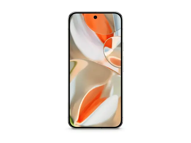 Google Pixel 9 Pro XL - Hvit 256 GB