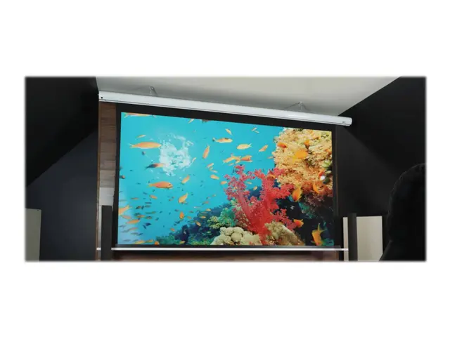 Elite Screens Saker Tab-Tension Series SKT135XHW2-E24 - Projeksjon...