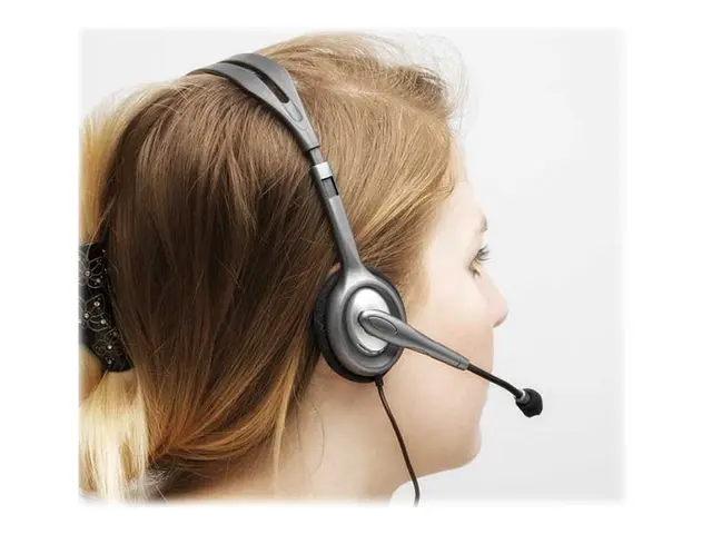 Logitech Stereo Headset H110 - Hodesett - on-ear - kablet