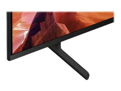 Sony Bravia Professional Displays FWD-50X80L - 50" Diagonalklasse ...