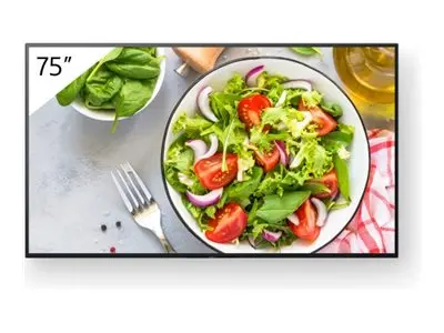 Sony Bravia Professional Displays FW-75BZ35L - 75" Diagonalklasse ...