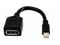 HP - DisplayPort-adapter - Mini DisplayPort (hann) til DisplayPort (hunn) for Elite 800 G9; Workstation Z2 G8, Z2 G9, Z4 G5, Z6 G5; ZBook Fury 15 G8, 16 G9, 17 G8