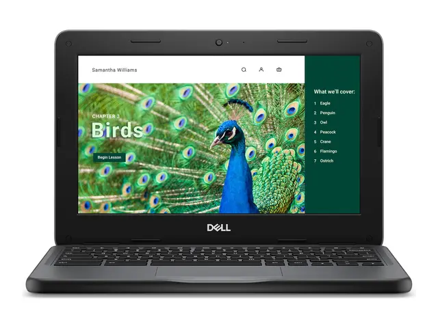 Dell Chromebook 3120 (2024) - 11.6" Intel N-series N100 8 GB RAM 6...