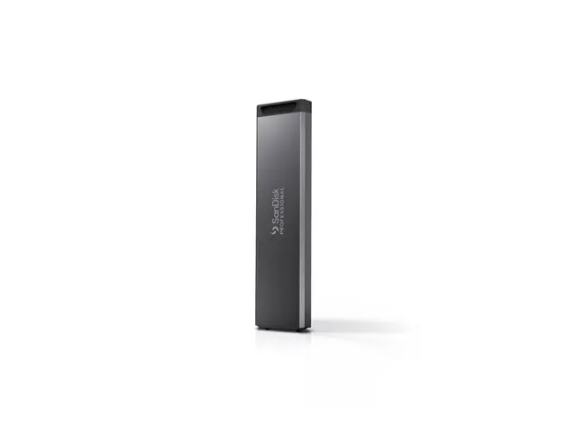 SanDisk Professional PRO-BLADE SSD Mag - 4 TB ekstern (bærbar)
