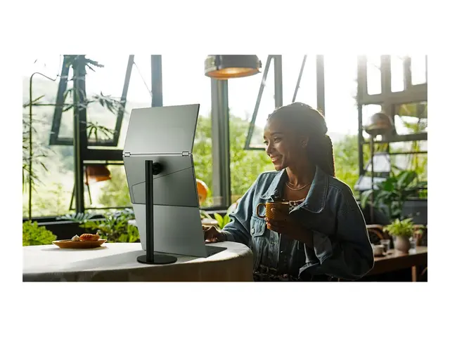 ASUS ZenScreen Duo OLED MQ149CD - Dobbel OLED-skjerm 14" portabel ...