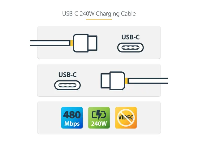 StarTech.com 4m USB C Charging Cable, USB-IF Certified USB-C 240W ...