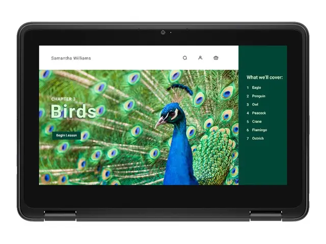 Dell Chromebook 3120 2in1 (2024) - 11.6" Intel N-series N100 4 GB ...