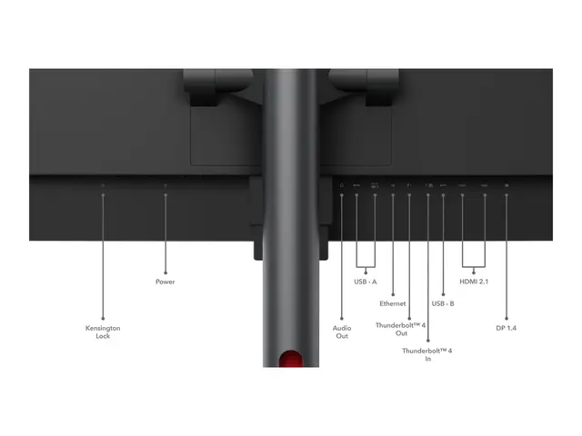 Lenovo ThinkVision P49w-30 - LED-skjerm kurvet 49" (49" synlig) 51...