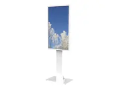 Floorstan P Sams QM55R glass decor Prot
