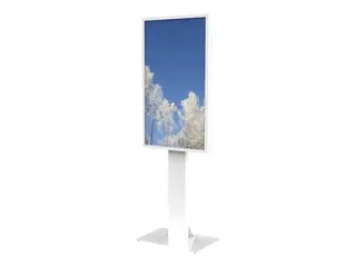 Floorstan P Sams QM55R glass decor Prot