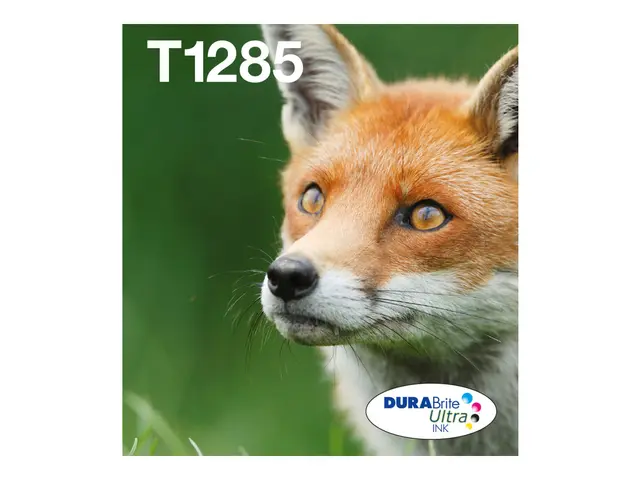 Epson T1285 Easy Mail Packaging - 4-pack - 16.4 ml - svart, gul, c...