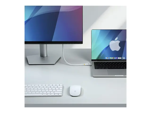 StarTech.com - USB-kabel 24 pin USB-C (hann) til USB4 / Thunderbol...