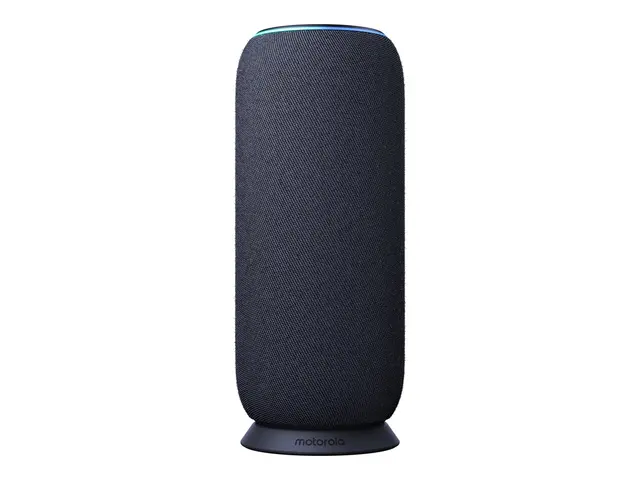 Motorola Moto sound flow - Høyttaler for bærbar bruk trådløs Bluet...