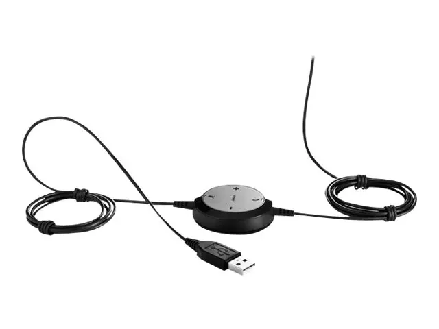 Jabra Evolve 20 MS mono - Hodesett - on-ear - kablet - USB - Certi...