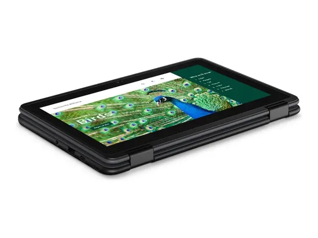 Dell Chromebook 3120 2in1 (2024) - 11.6" Intel N-series N100 4 GB ...