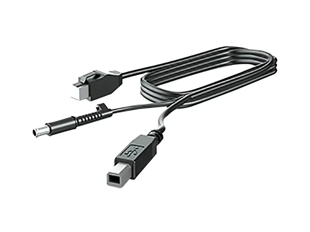 HP - DisplayPort-kabel - DisplayPort (hann) til DisplayPort (hann)...