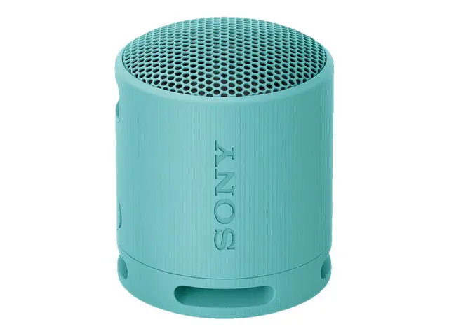 Sony SRS-XB100 - Høyttaler for bærbar bruk trådløs Bluetooth Appst...