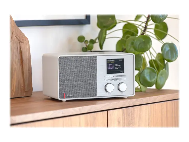 Pinell Supersound 301 - Nettverkslydspiller - 7 watt (Total) - hvit