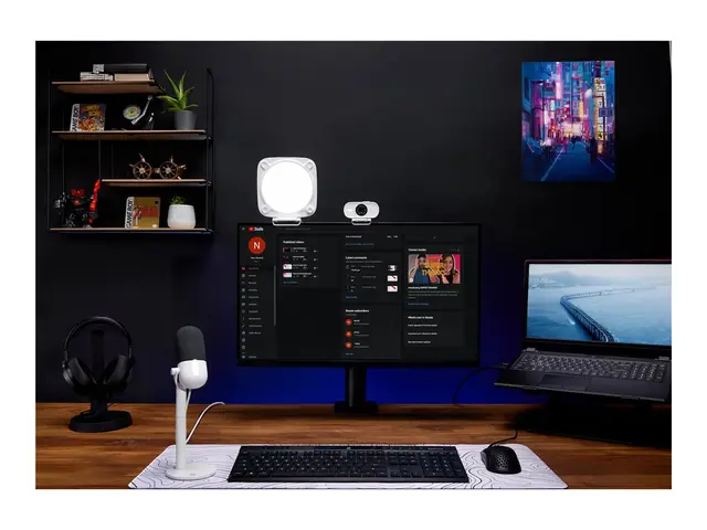 Elgato Key Light Neo - Lampehode - 1 hoder - LED - 15 W - DC