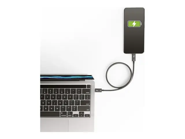 StarTech.com 1.6ft (50cm) Thunderbolt 4 Cable, 40Gbps, 100W Power ...