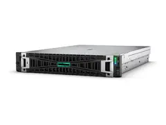 HPE ProLiant DL385 Gen11 - rackmonterbar EPYC 9124 3 GHz 64 GB - SSD 2 x 480 GB