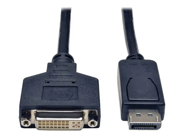 Eaton Tripp Lite Series DisplayPort to DVI Cable Adapter, Converte...