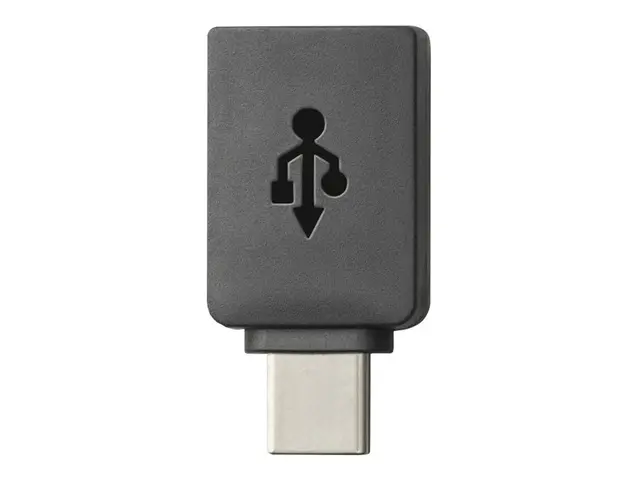 Poly Sync 10 - Høyttalende håndfri telefon kablet USB-A, USB-C sølv