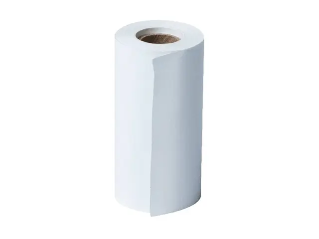 Brother - Papir Rull (5,7 cm x 6,6 m) 1 rull(er) kontinuerlig papi...