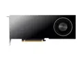 NVIDIA RTX PRO 6000 Blackwell Max-Q Grafikkort - RTX PRO 6000 Blackwell Max-Q - 96 GB - 4 x DisplayPort