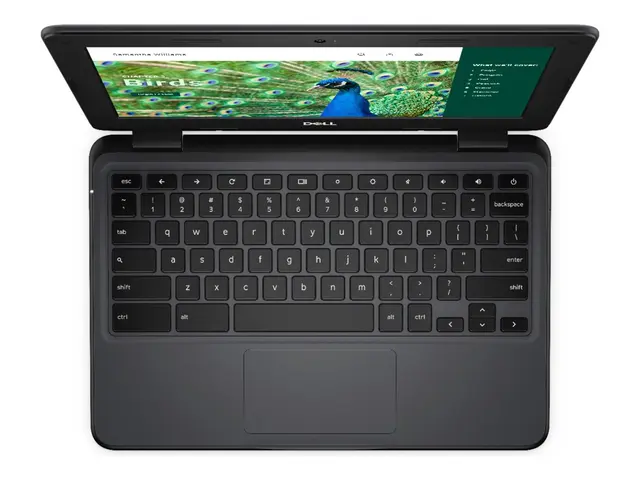 Dell Chromebook 3120 2in1 (2024) - 11.6" Intel N-series N100 4 GB ...