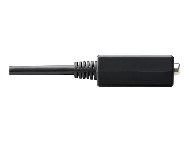 Eaton Tripp Lite Series 6in DisplayPort to VGA Adapter Active Conv...