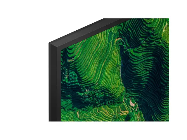 Sony Bravia Professional Displays FW-65BZ35P 65" Diagonalklasse BZ35P Series LED-bakgrunnsbelyst LCD-skjerm - intelligent skilting - Android - 4K UHD (2160p) 3840 x 2160 - HDR - Edge LED 