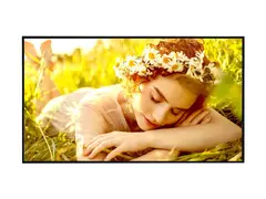 LG 75UL5Q-E - 75" Diagonalklasse UL5Q-E Series LED-bakgrunnsbelyst LCD-skjerm intelligent skilting med Integrated Pro:Idiom - webOS - 4K UHD (2160p) 3840 x 2160 - Direct LED - svart