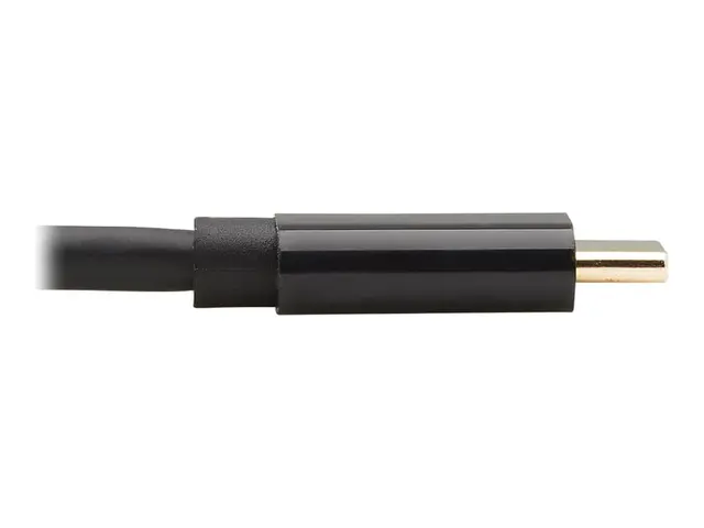 Eaton Tripp Lite Series USB-C to DisplayPort Bi-Directional Active...