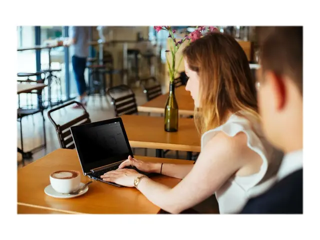 Targus Privacy Screen - Notebookpersonvernsfilter - avtakbar - 13,...