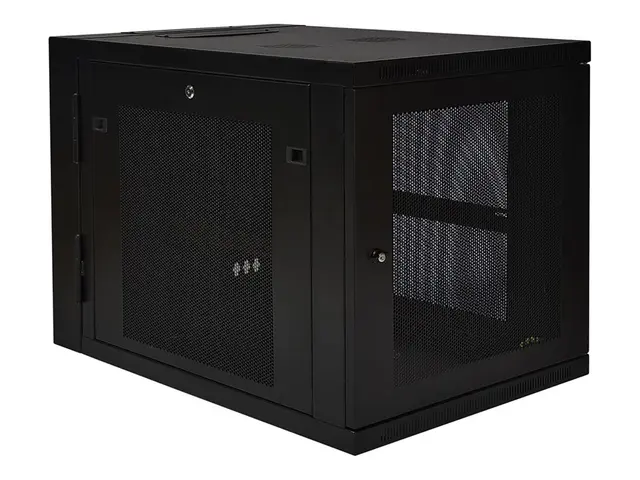 Eaton Tripp Lite Series 12U Wall Mount Rack Enclosure Server Cabin...