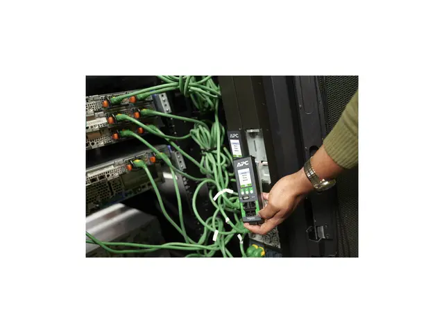 APC NetShelter Rack PDU Advanced - Strømfordelerenhet (kan montere...