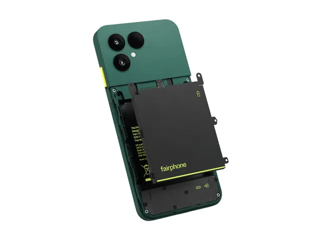 Fairphone (Gen. 6+) - Skoggrønn - 256 GB