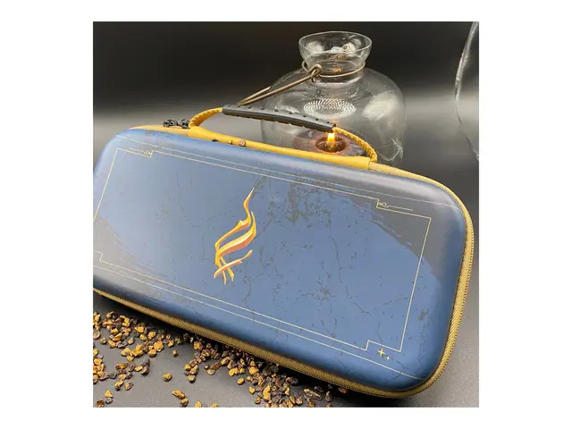 Lexip - Eske for spillekonsoll - og beskyttelse - for Nintendo Switch