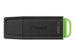 Kingston DataTraveler Exodia - USB-flashstasjon 256 GB - USB 3.2 Gen 1